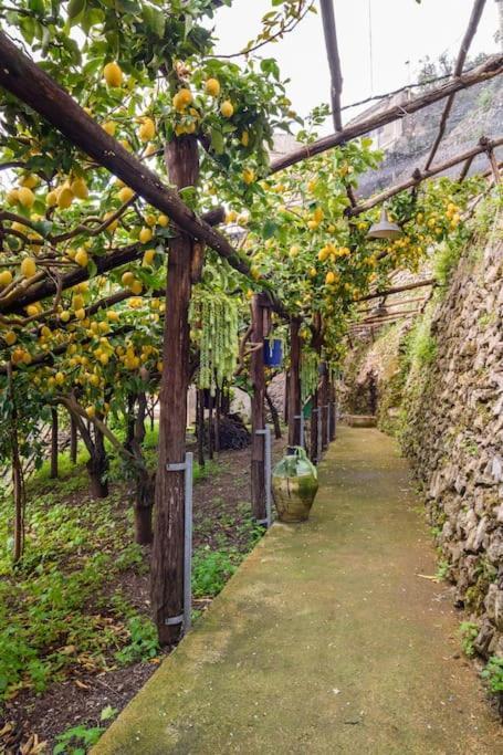 Villa #La Limonaia Della Torretta Minori Exterior foto