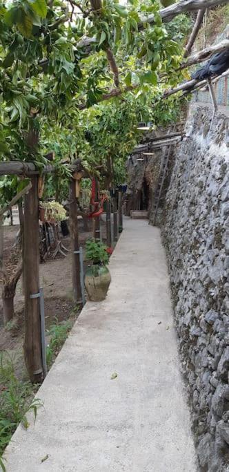 Villa #La Limonaia Della Torretta Minori Exterior foto